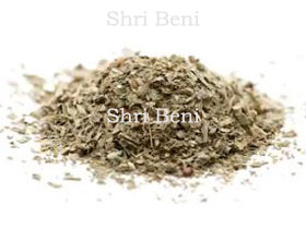 Marjoram